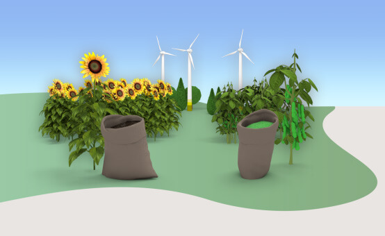 Raw materials: sustainable plants such as sunflowers and soybeans