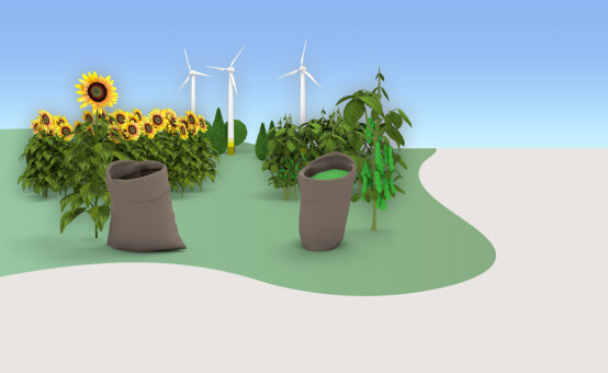 Raw materials: sustainable plants such as sunflowers and soybeans