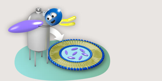 Liposome builder: hydrophilic ingredient in the homogenizer