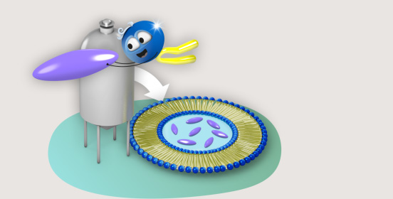 Liposome builder: hydrophilic ingredient in the homogenizer