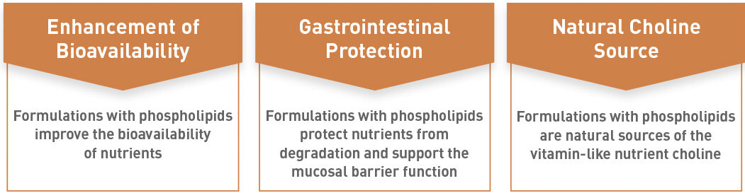 LIPOID_website_blogliposomes_emulsions_grafik_rgb