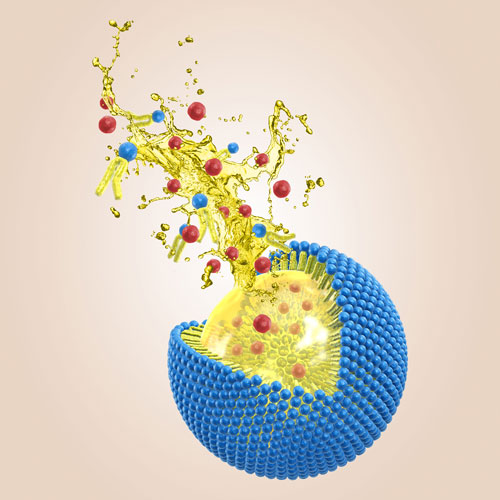 LIPOID_phytosolve_astaxanthin_07.07.23