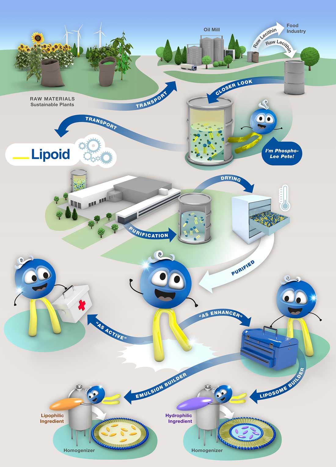 lipoid_nutrition_phospholipid_infografik
